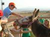 Actividades juveniles verano 2007