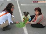 Animacion infantil - Foto 3 Animacion infantil - Foto 3
