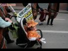 Carnaval Infantil 2010 - Foto 15