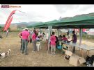 Concentraci�n de Parapente Alhama 2010 - Foto 36