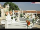D�a de Todos los Santos 2009 - Foto 30