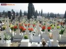 D�a de Todos los Santos 2009 - Foto 35