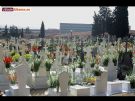 D�a de Todos los Santos 2009 - Foto 36