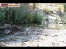 Campamento Scout - D�a de Padres - Foto 17