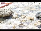 Campamento Scout - D�a de Padres - Foto 18