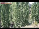 Campamento Scout - D�a de Padres - Foto 33
