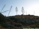 VIII Ruta Senderista a El Berro - Foto 11