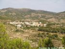 VIII Ruta Senderista a El Berro - Foto 22